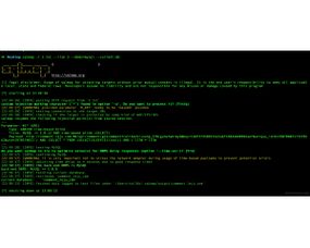互联网安全防护 从黑客技术到专业开发的视角